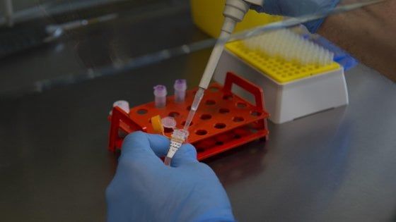 Coronavirus, lo studio della Statale di Milano: l'epidemia è nata a ottobre
