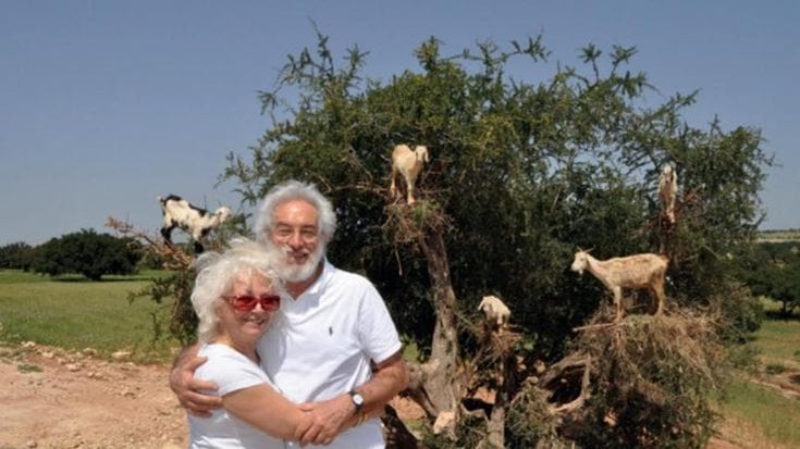Jodice: l’uomo, l’artista. Marone e D’Amato raccontano il maestro in un libro