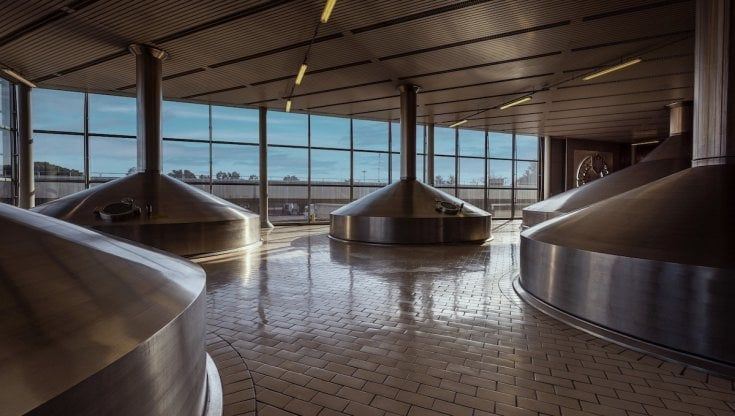 Birra tra presente e futuro: gli obiettivi in casa Peroni