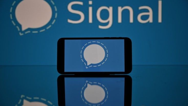 Signal, l'app per chat che sfida WhatsApp: privacy e trasparenza al primo posto
