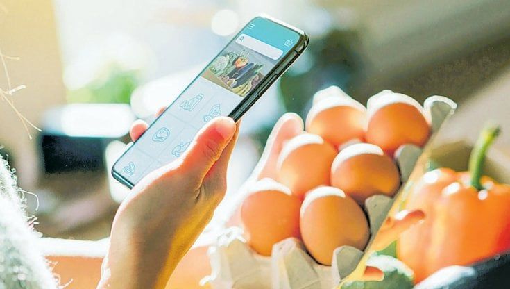  E-commerce, la qualità balza in alto test e clienti premiano 750 portali