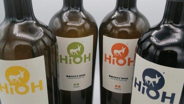 In Costiera amalfitana l’asinello vola tra ceramiche, birre e vini d’autore