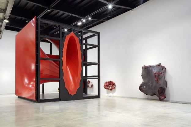 Profondo rosso. Anish Kapoor al Macro