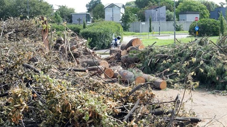 Ecco come a Lambrate si riciclano gli alberi abbattuti dalla tempesta