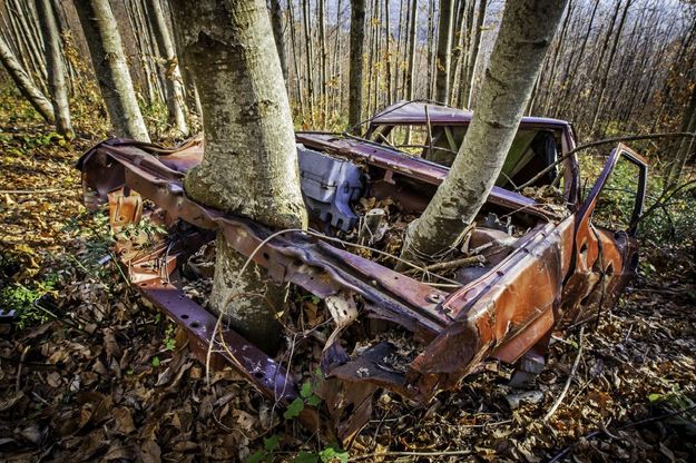 La Terra, un tesoro da custodire: la foto premiata