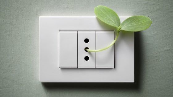 Apparecchi efficienti, prodotti eco, etichette: gli italiani scelgono la sostenibilità energetica