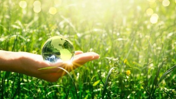 Elettricità Futura aderisce a Bioenergy Europe