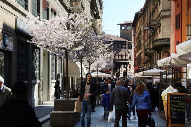 Aria di primavera a Bologna, gli alberi sono in fiore
