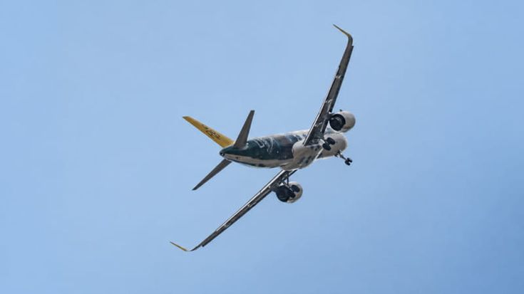 Lo sfogo dei piloti: “ Le compagnie ci rimproverano per gli stop agli atterraggi pericolosi”