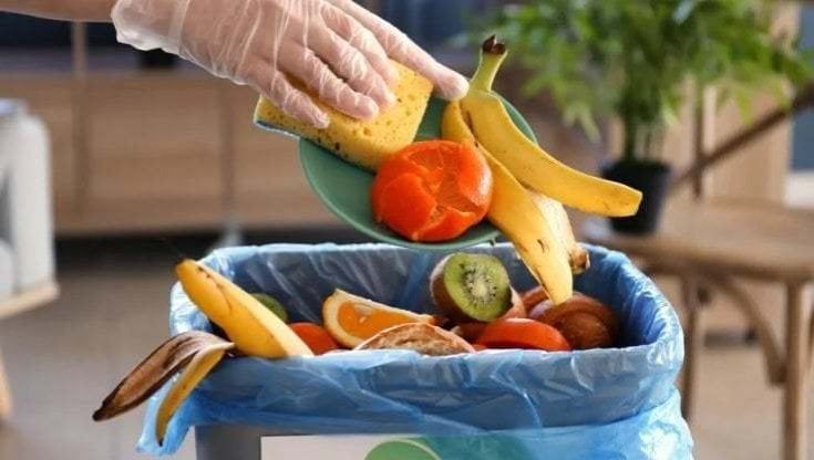 Spreco alimentare, l'Italia peggiora: buttiamo 7 etti di cibo a settimana, un valore di 9 miliardi all'anno