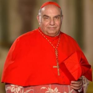 Festino, il cardinale attacca le teorie gender: "No alla confusione dell'identità sessuale"