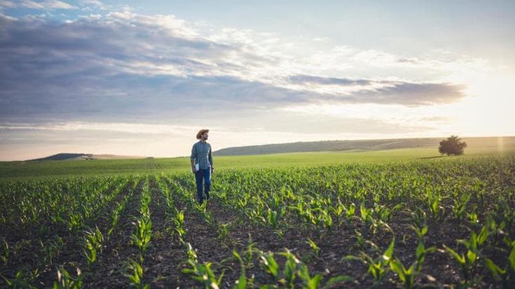 Transizione green: Sos competenze per le imprese agricole e alimentari
