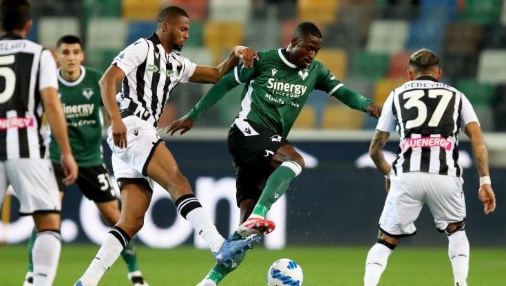 Udinese-Verona 1-1: Barak risponde a Success