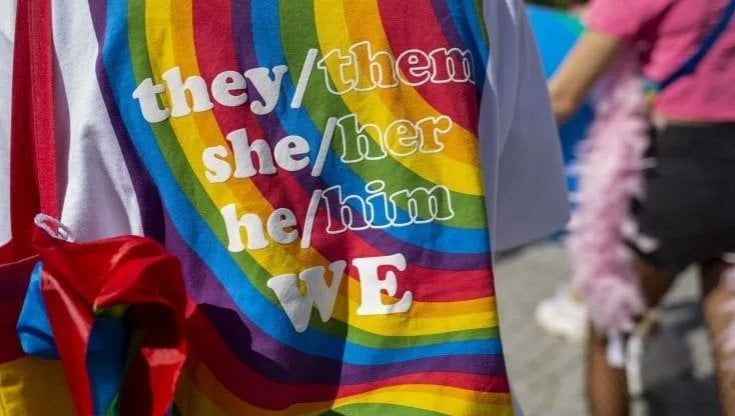 Scuola, i Pro Vita all'assalto della 'carriera alias' degli studenti trans: "Diffide a 150 istituti. Intervenga Valditara"