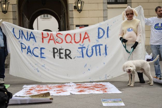 Milano, travestita da agnello per la Pasqua vegetariana