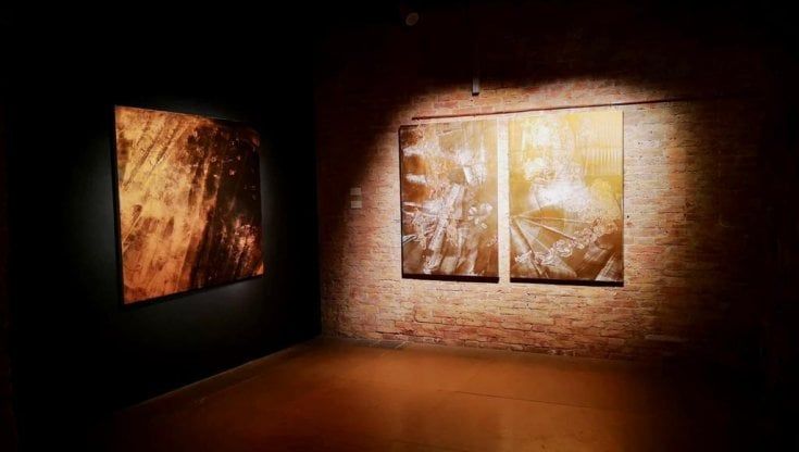 Pennellate d’oro: la natura senza tempo di Enzo Scolamiero