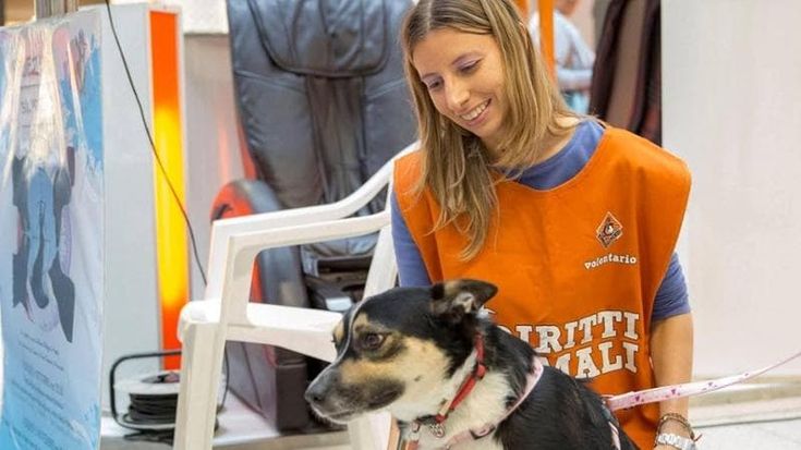 Alessia Monti, morta a 46 anni l’animalista che salvava e accudiva i cani di tutti. “Vola libera”