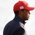 Golf, Ryder Cup; Tiger Woods: 