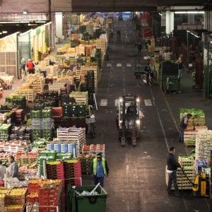 Lavoro, calano gli occupati a maggio. La disoccupazione risale all'11,3%