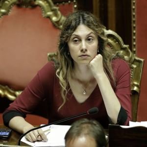 Andrea Carandini: "Così si danneggia il paesaggio"