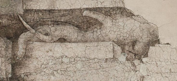 Leonardo e i suoi modelli: incontro ravvicinato sui ponteggi del Castello 
