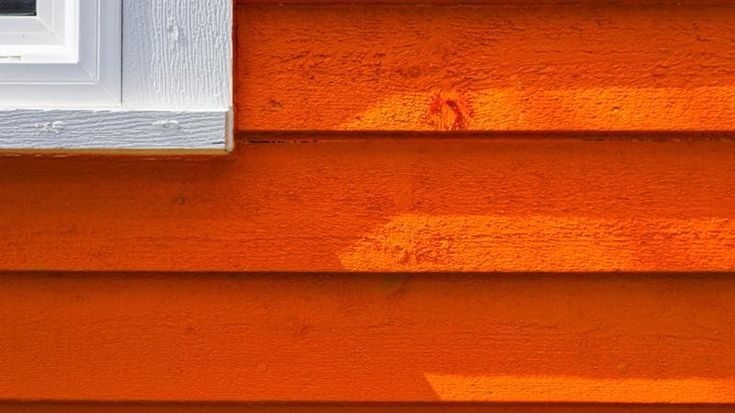 Bigwood, la fliera sostenibile fra Italia e Austria per costruire edifici in legno sempre più grandi