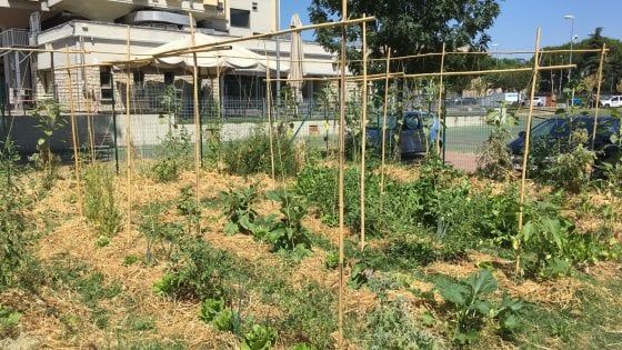 All'università di Firenze gli orti urbani si allargano 