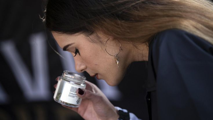 In Borsa è già finita l’euforia per le azioni della cannabis