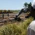 Terre rubate, l’accaparramento di spazi destinati all'agricoltura che minaccia il futuro del Pianeta
