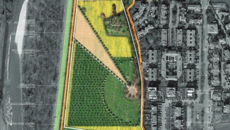 Covid, a Parma un Bosco della Memoria di 5 ettari e una barriera verde in viale Du Tillot 