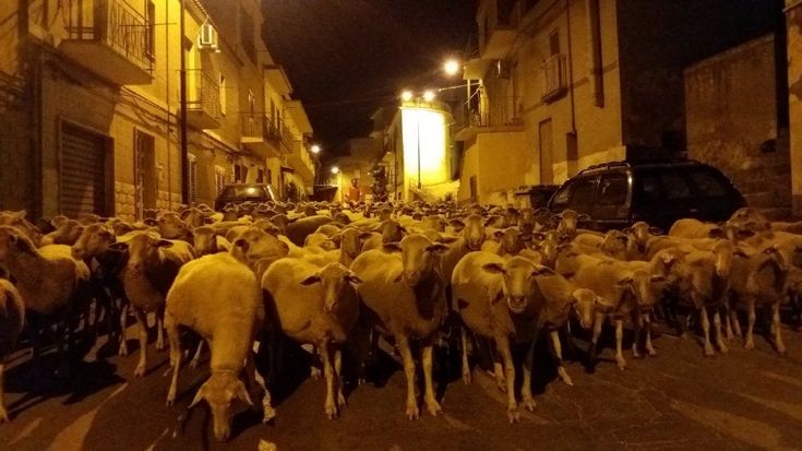 Gargano, la transumanza attraversa il paese nella notte