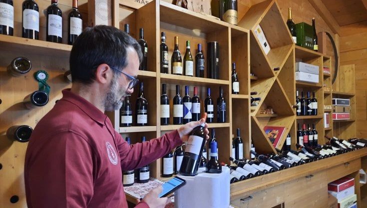 Aumentano le richieste di vini territoriali in occasione del periodo natalizio
