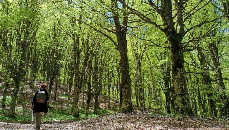 Passeggiata sui Nebrodi: il sapore dell’autunno in Sicilia 