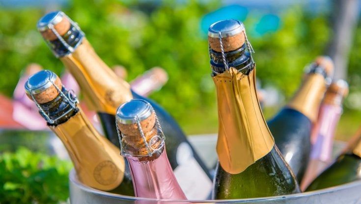 Distribuzione vini e distillati, i primi 10 anni di Società Excellence: fatturato quasi triplicato
