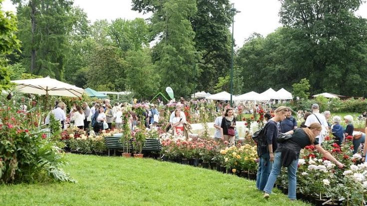 Piante rare e fiori esotici nel regno di Orticola: il verde nel segno del bio