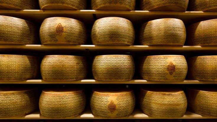 Cibus di Parma: il Consorzio Tutela Grana Padano promuove lo sport verso Milano-Cortina 2026