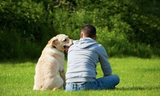 Liguria, verso la legge per tumulare le ceneri degli animali col padrone 