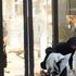 L'Islam politico e la rabbia dei giovani come un grimadello