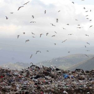 Fanghi tossici, amianto, veleni in Sicilia una “terra dei fuochi” grande 100mila metri quadrati 