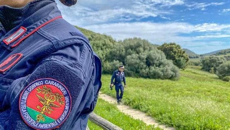 Caccamo, 16 cani stipati in tre stanzette denunciata coppia di anziani