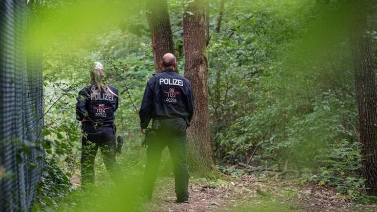 Leonessa in fuga a Berlino: falso allarme, è solo un cinghiale