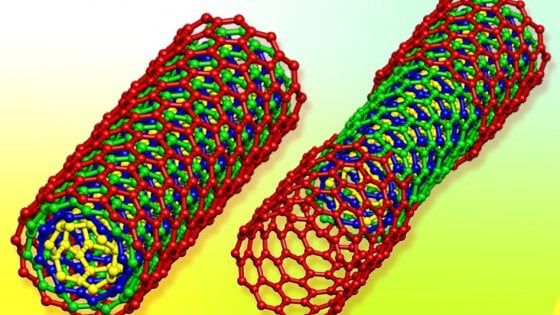 Spinaci bionici rilevano esplosivi e inquinanti nel suolo