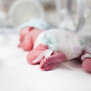 Il caso dei cordoni ombelicali scomparsi in Svizzera, coinvolte 15 mila famiglie italiane