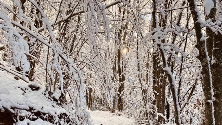 E’ arrivata la prima neve. Al Corno si scia dal 6 dicembre