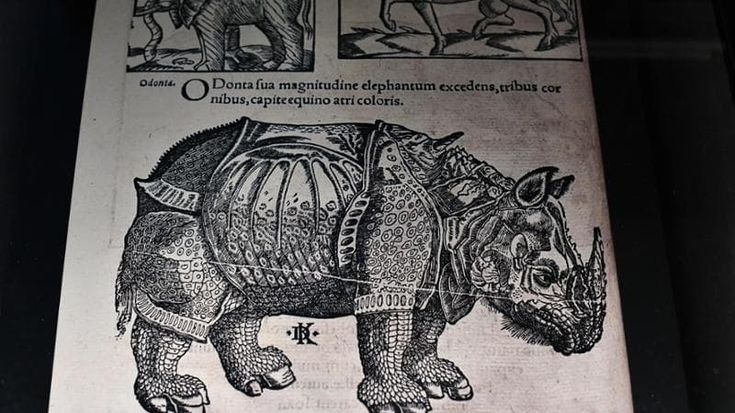 "Liber", al Ducale di Genova in mostra libri antichi rubati e recuperati dai carabinieri