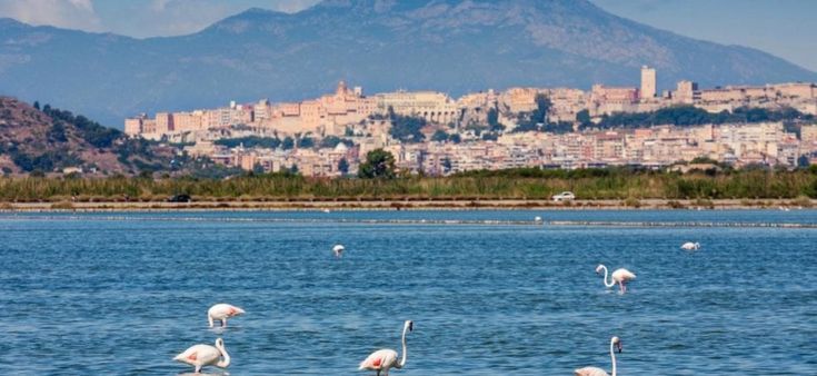 Pedalare nel parco regionale Molentargius-Saline: la Sardegna ora si ammira in bicicletta