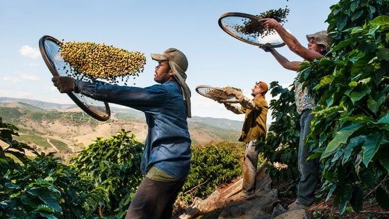 Difendere la terra a colpi di tazzina