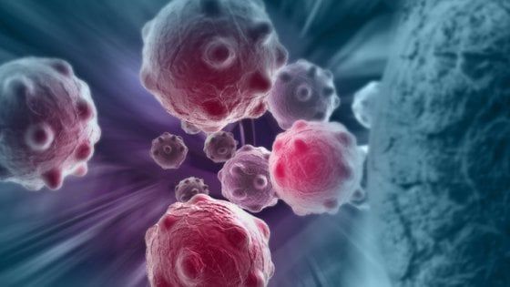 Tumori, quando la cellula non vuole morire