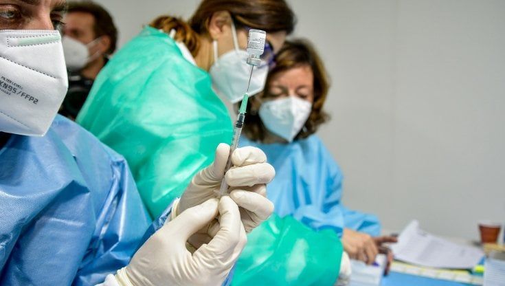 Vaccini, 2mila veterinari pugliesi esclusi dalla Fase 1: "Noi dimenticati dalle istituzioni" 