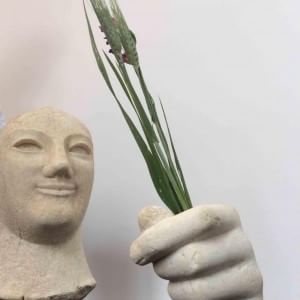 Le eccellenze della Sicilia in vetrina all'Expo, Crocetta: "E' una grande occasione"